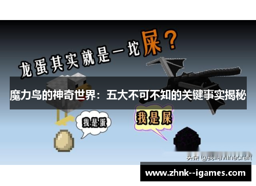 魔力鸟的神奇世界：五大不可不知的关键事实揭秘